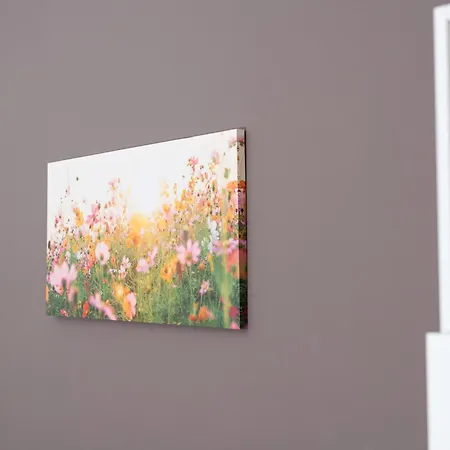 Palazzo Fornasier * Belluno