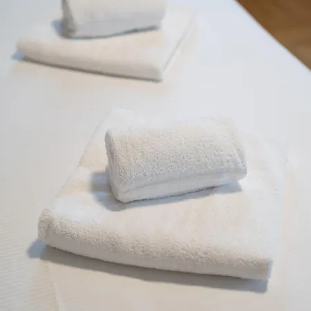 Daire Palazzo Fornasier *