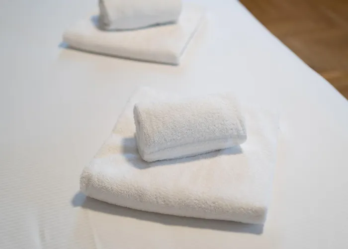 Apartment Palazzo Fornasier *